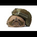 Балістичний шолом Sestan-Busch Helmet BK-ACH-HC. Койот. (L)