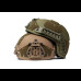 Балістичний шолом Sestan-Busch Helmet BK-ACH-HC. Олива. (M/L)