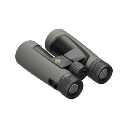 Бінокль LEUPOLD BX-2 Alpine 10x52mm Roof Shadow Gray