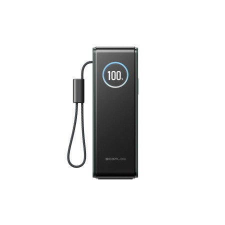 Павербанк EcoFlow RAPID Power Bank з кабелями 25000mAh зелений